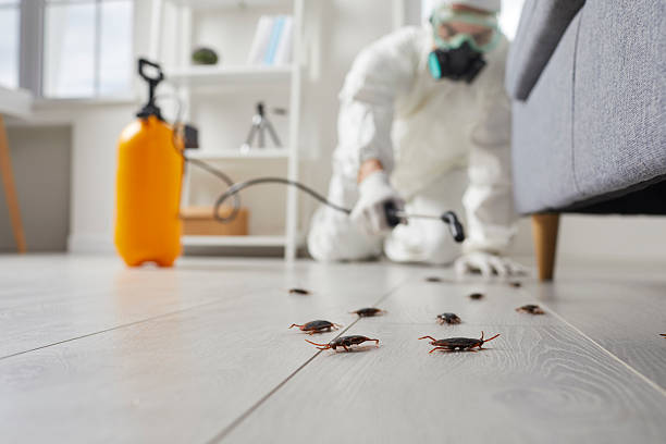 Trusted Cockroach Control service in Laie, HI - Nex Pest Control