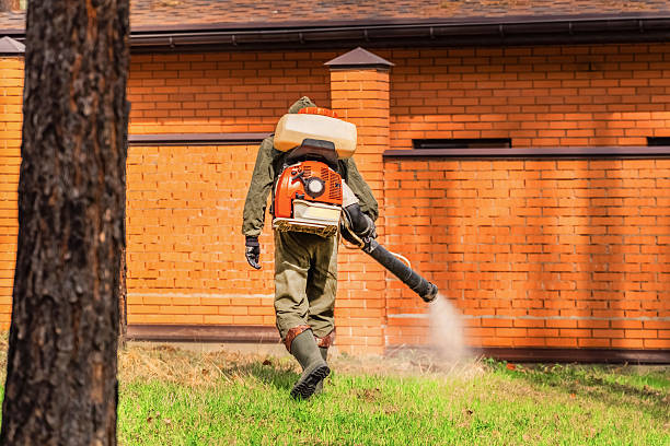 Trusted Fumigation Services service in Laie, HI - Nex Pest Control